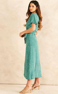 www.demetra.is